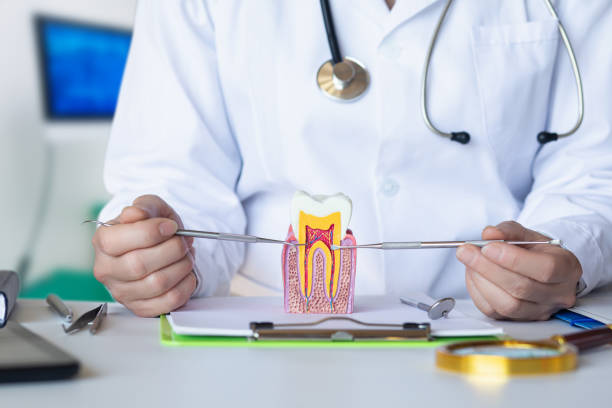 Best Emergency TMJ Treatment in Muenster, TX